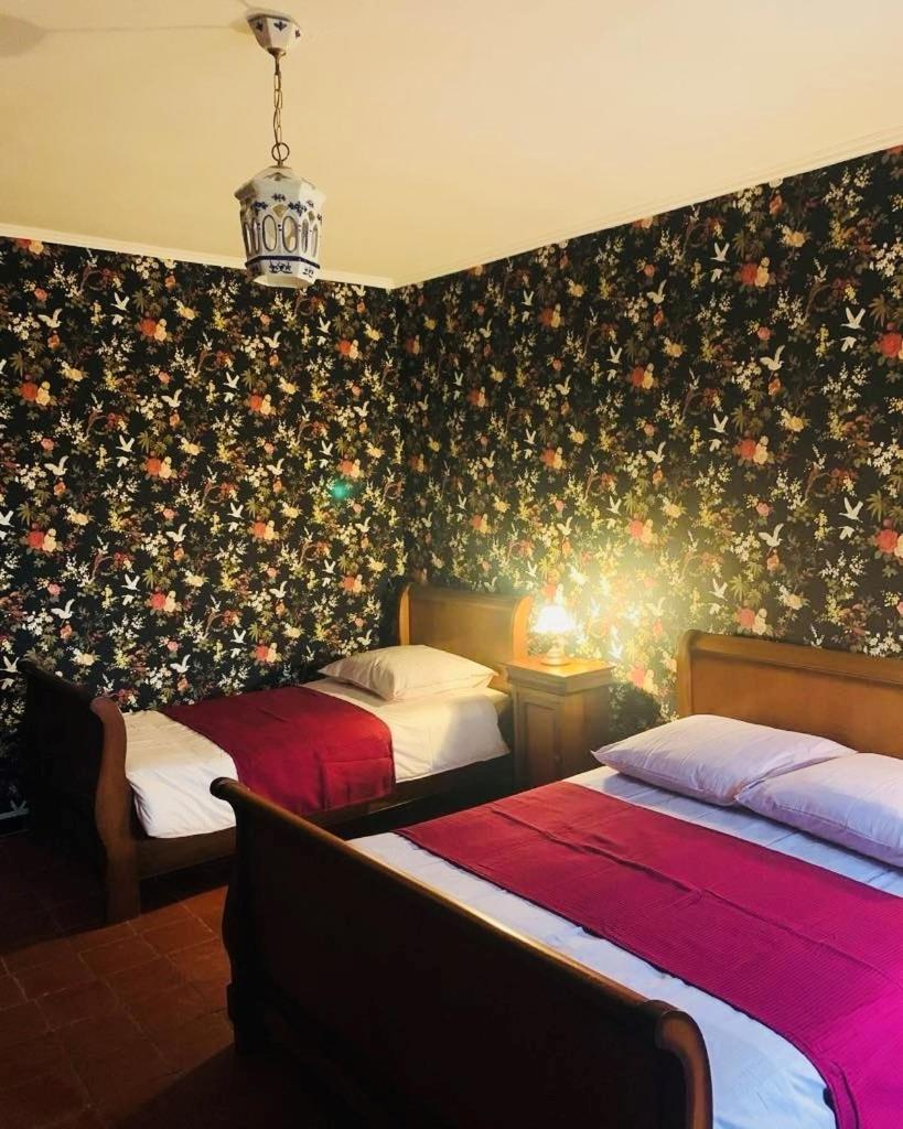 La Babayaga Bed and Breakfast Capestang Exteriör bild
